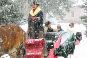 sleigh rides
