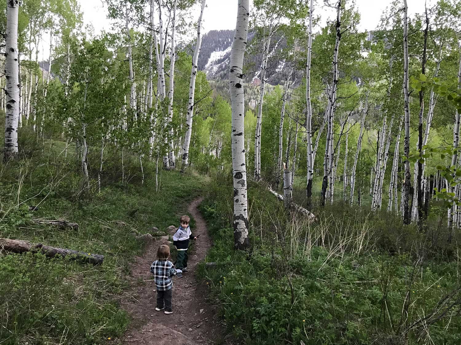 Braderich Creek Trail in May