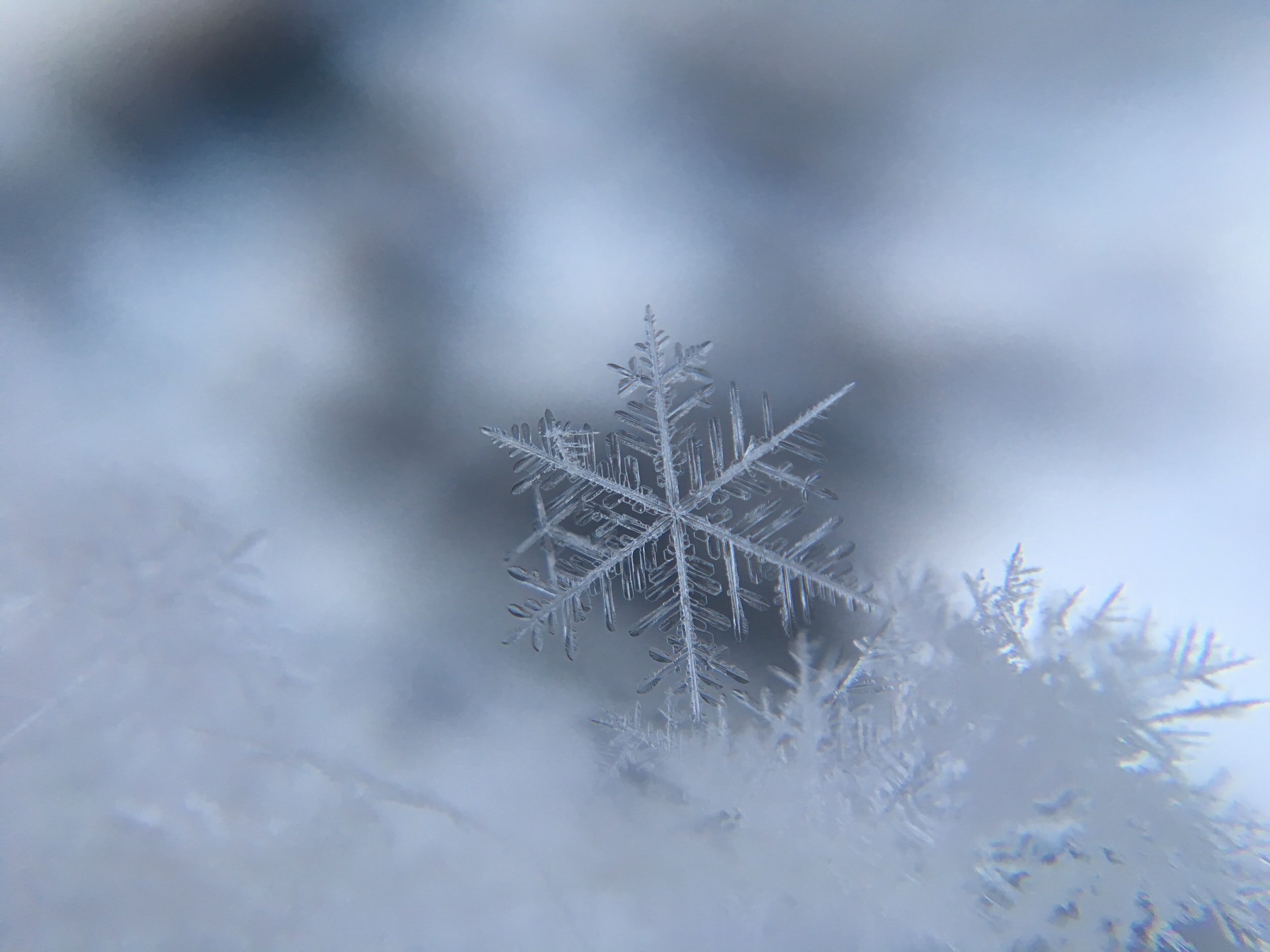 isolated snowflake on a blurry white and gray snowy background