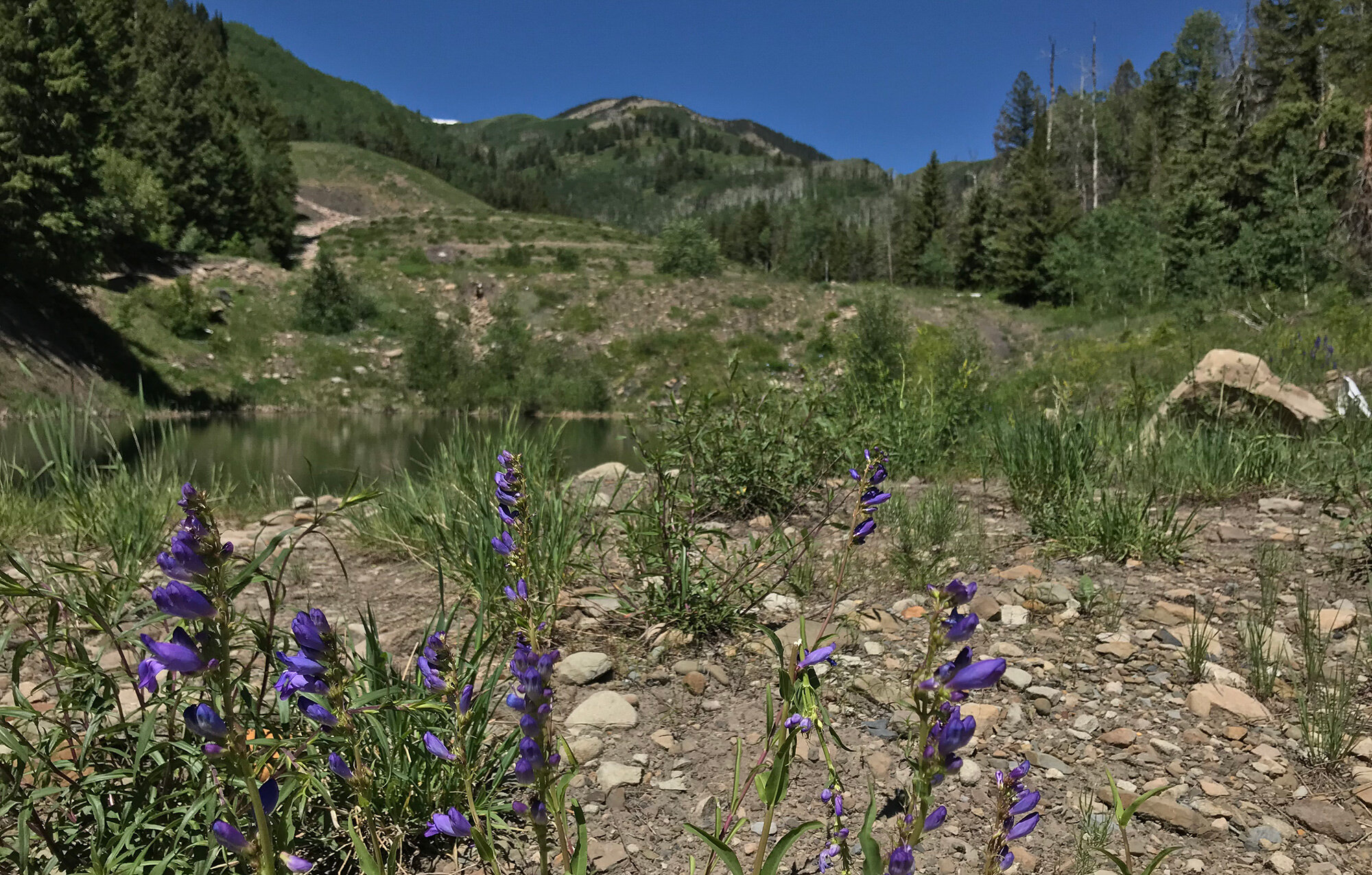 HIKING &amp; BIKING